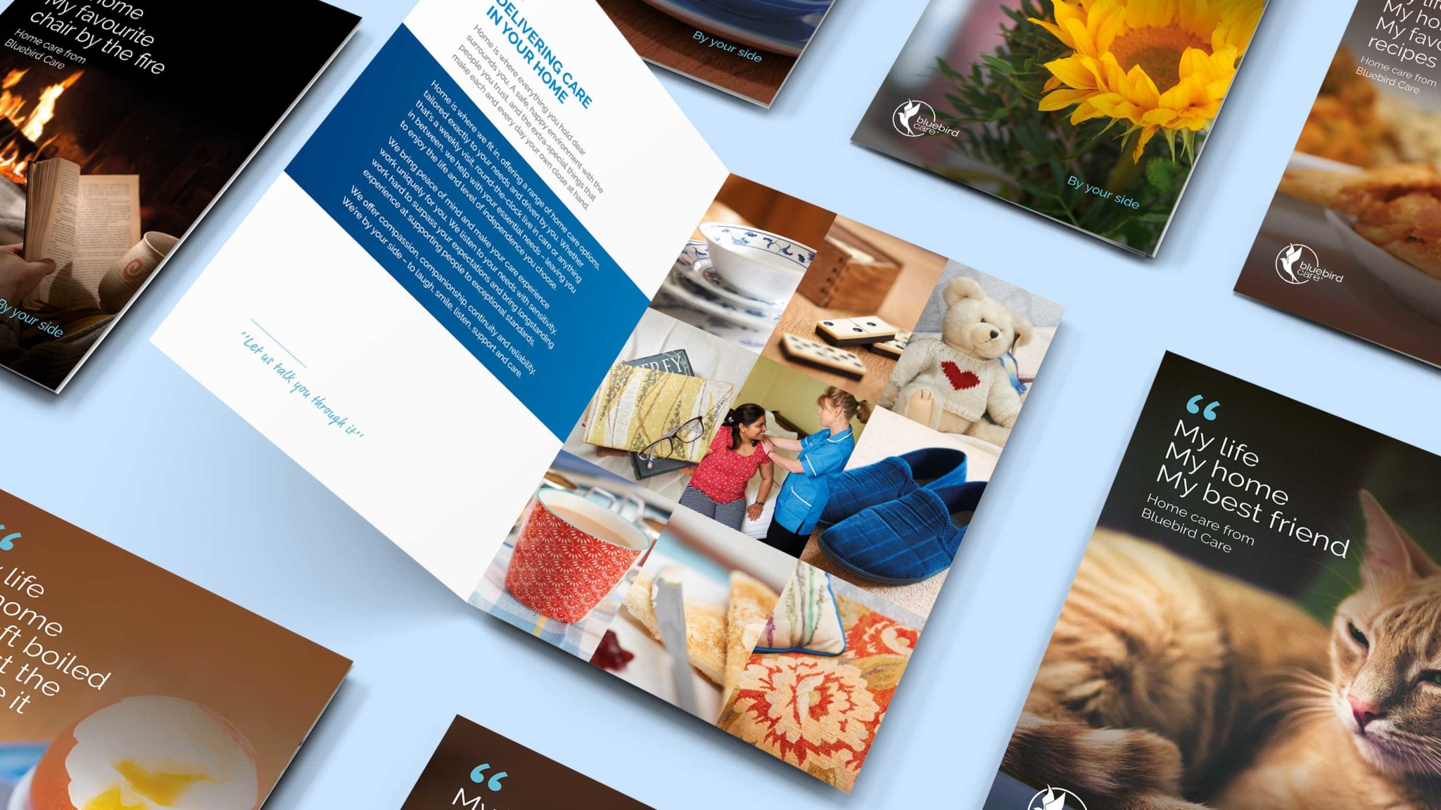 Bluebird Care - Designhouse | Brand identity | Campaign